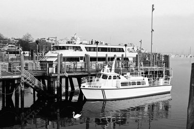 IMG_0757.jpg