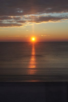 pic2.jpg