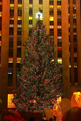 IMG_0656.jpg