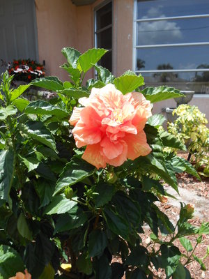DSCN0505.JPG