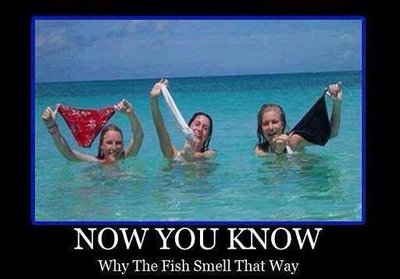 fish.jpg