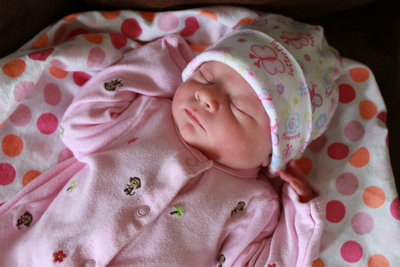 IMG_2521small.JPG