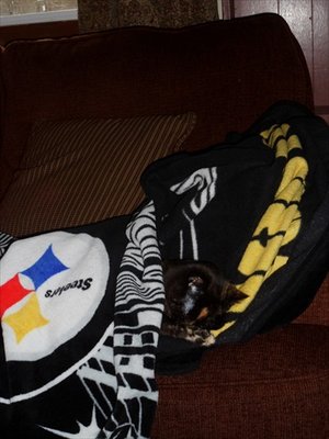 SAM_1846_111.jpg