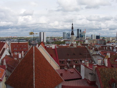P1010033.JPG