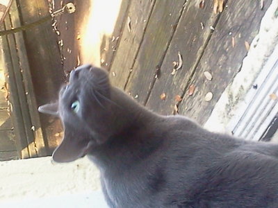 2013-07-29 10.36.16.jpg