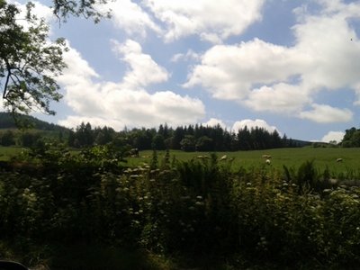 20130718_132501.jpg