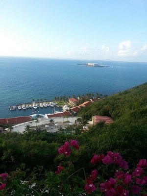 20130806_065406.jpg