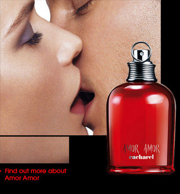 visuel_amor-amor.jpg