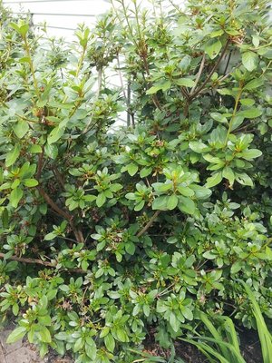 20130901_131606.jpg