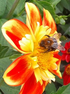 20130824_140837.jpg