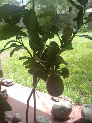 2013-09-08 13.44.34.jpg