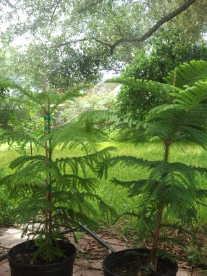 2013-09-08 13.43.24.jpg