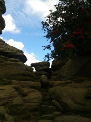 20130908_131203.jpg