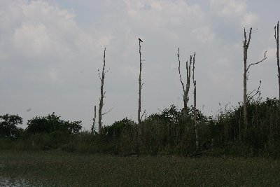 IMG_3111.JPG