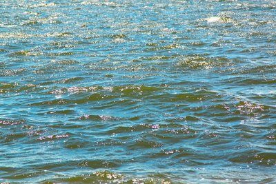 SandyHook 082f.jpg
