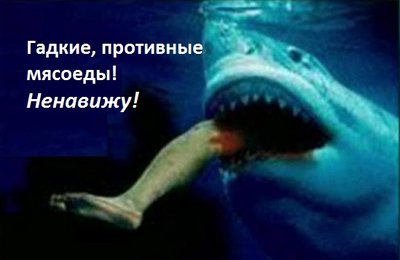 092911_al_peta_640.jpg