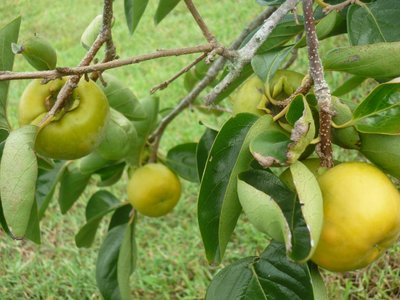 SEptember 2013 006.JPG