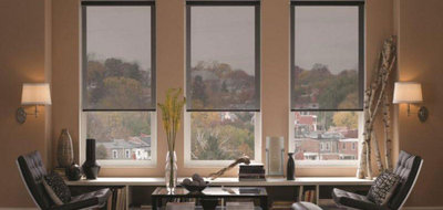 Extreme-Roller-Shades-e5ae1961-6f08-4fff-8fac-575138f63d8c.jpg
