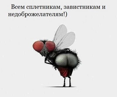 KlI70s5UKBE.jpg