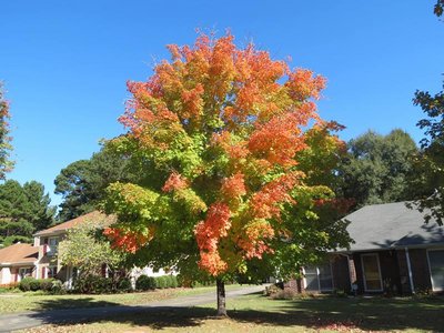 IMG_4265ф.jpg