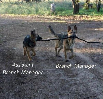 Branch MGR.jpg
