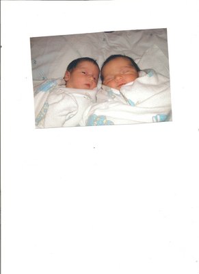 Twins.jpg
