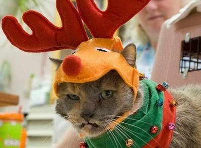 Настроение-2.jpg