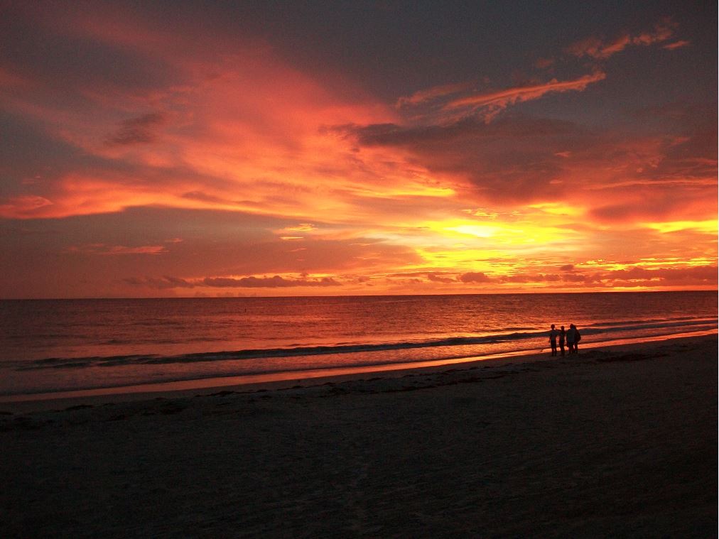 Sarasota 2014-1.JPG