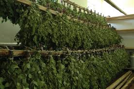 Веники функциональные.jpg