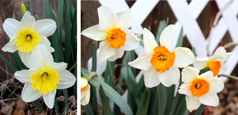 IMG_4112 - Copy - Copy.JPG