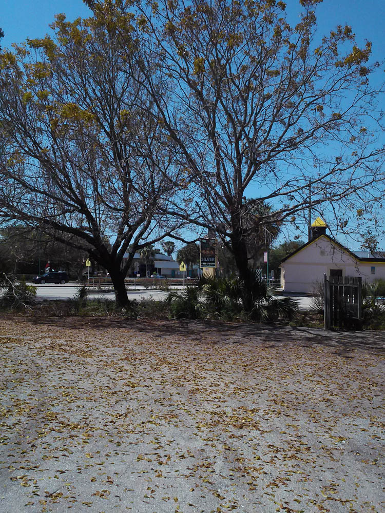 CAM00551.jpg