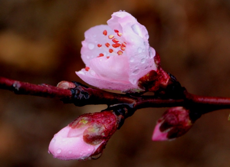 IMG_4157 - Copy - Copy.JPG