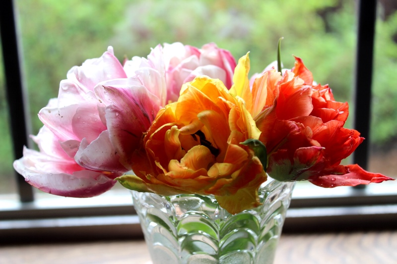 IMG_4933.JPG