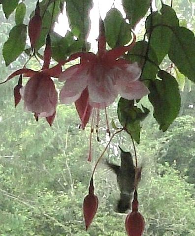 image (77).jpg