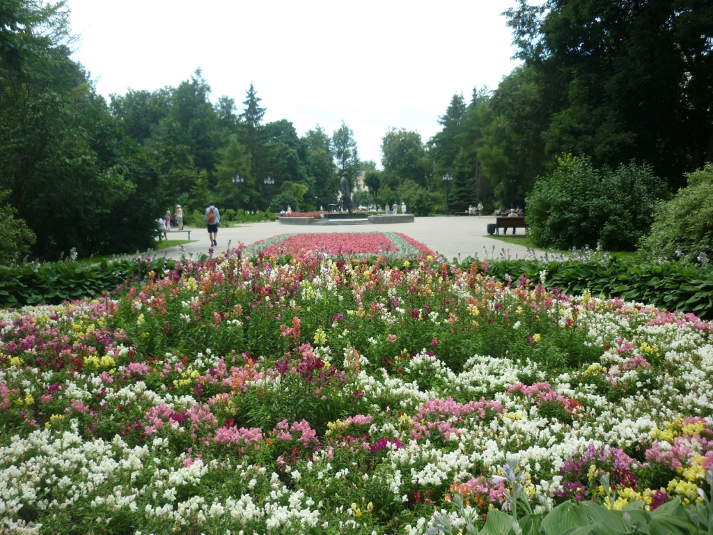 N5.jpg