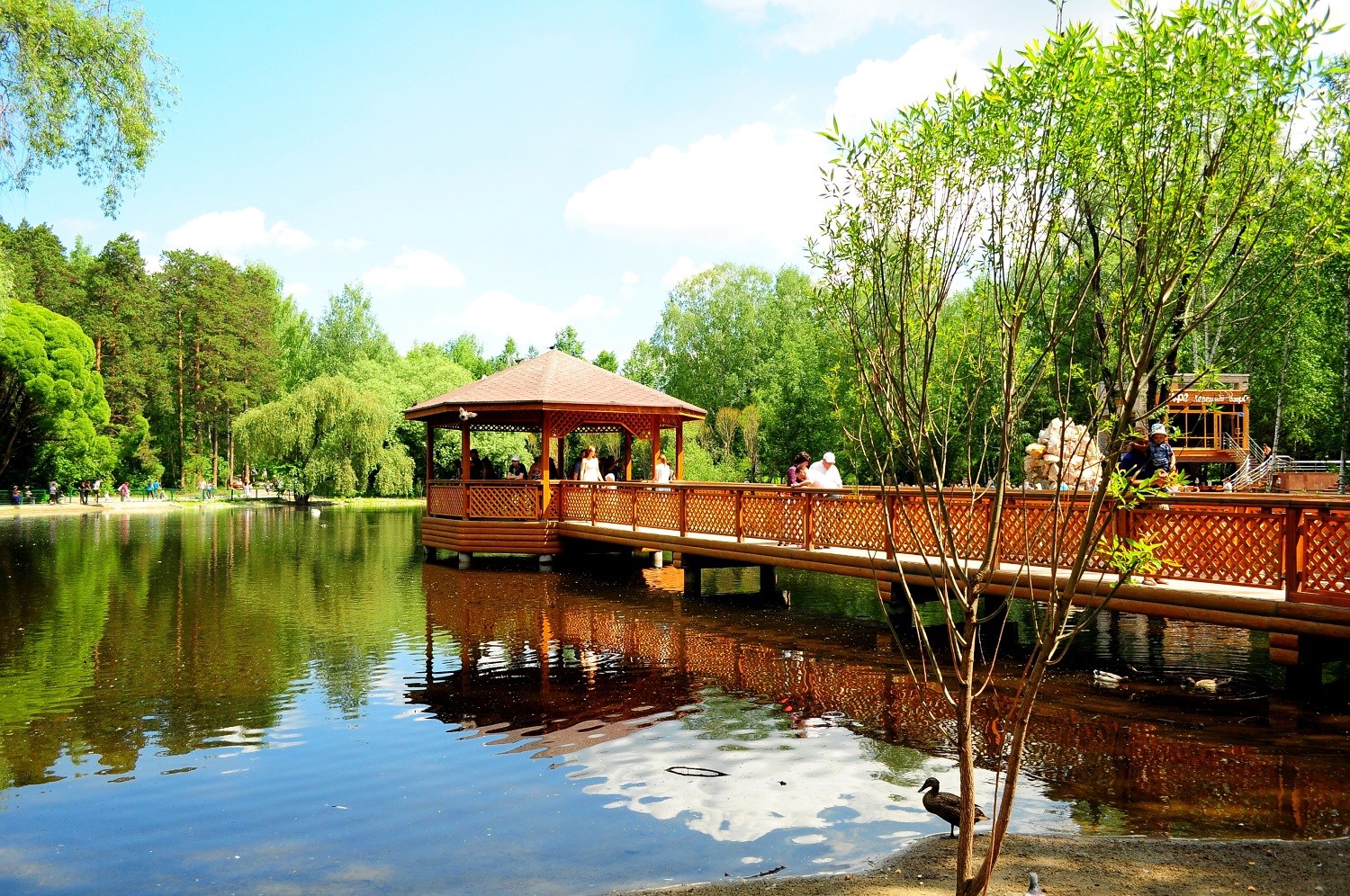 Lake-in-Novosibirsk-Zoo.jpg