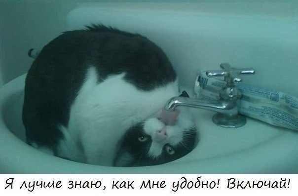 2015425113570.jpg