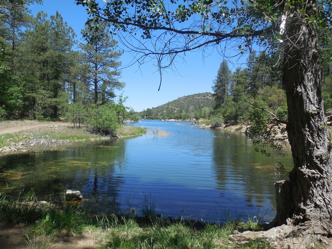 DSCN1533a.jpg