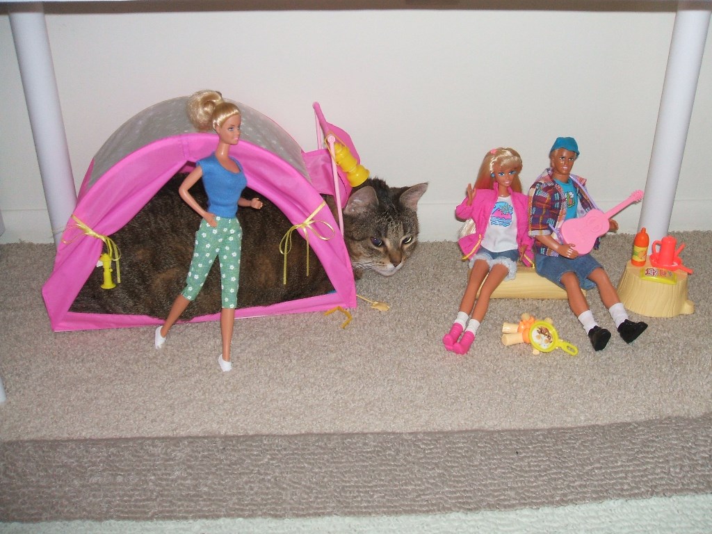 DSCF4385.JPG