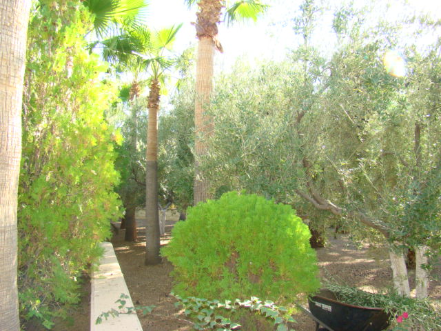 DSC06167.JPG