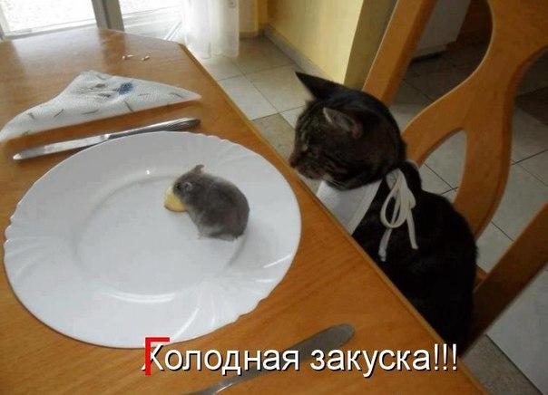 2015521226190.jpg