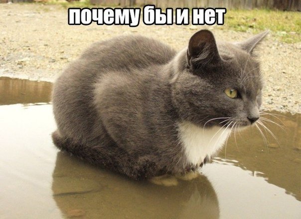 20155212241170.jpg