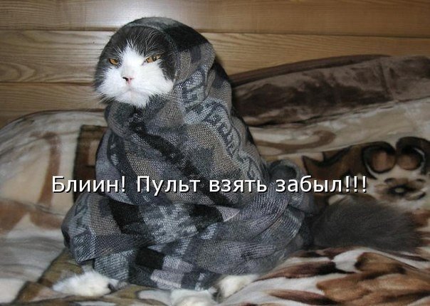 201552620300.jpg