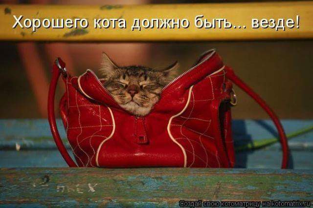 FB_IMG_1435670708201.jpg