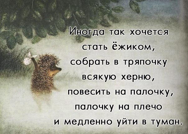 201569224210.jpg