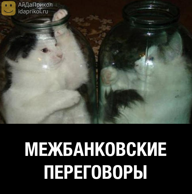 aba8f96b92a5959e17ae441a1a758d6a4dd6e522dde404c4cd5d9dbaacd7cc87_1.jpg