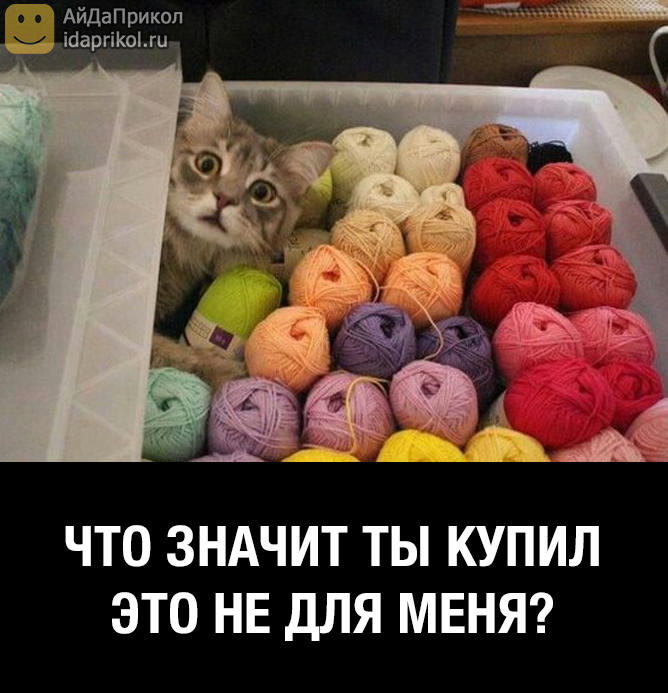 b407f98b80347e131659a43ee689ce0a228bc1b0e4d71a7af164fdaa33b4f83a_1.jpg