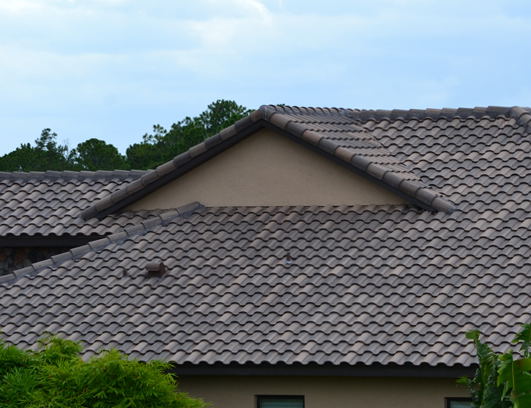 DSC_0155.jpg