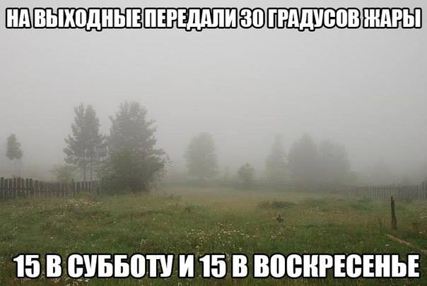 11781702_862834763810093_972449661033107681_n.jpg