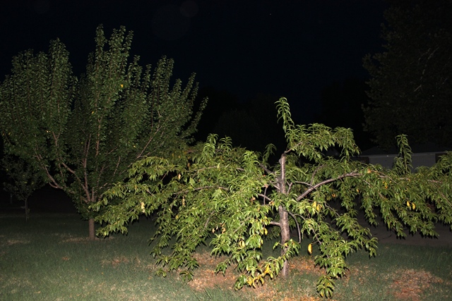 IMG_1728.JPG